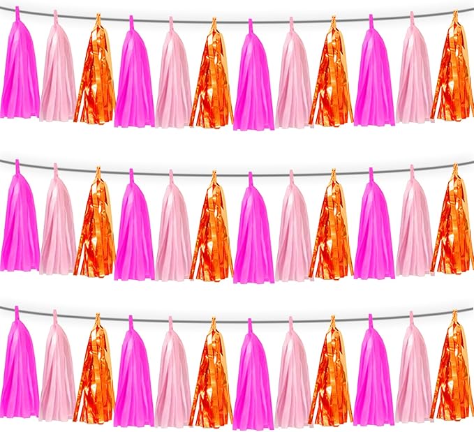 3P Hot Pink Orange LightPink Tassel Banner Garland Foil Fringe Tinsel Streamer Banner Backdrop for Parade Floats, Wall Hanging Curtain Parade Floats, Graduation Decorations, Wedding Party Decoration