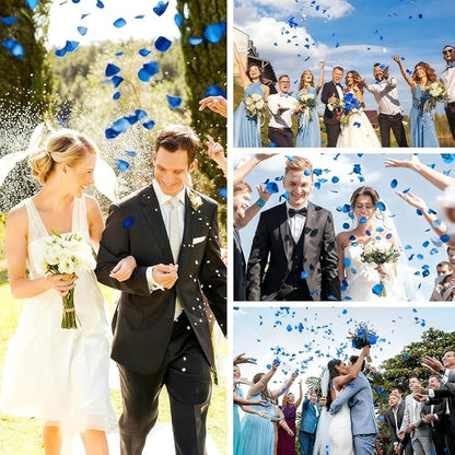 Rose Petals 2000pcs Artificial Silk Blue Rose Petals Flower Petals Fake Faux Roses Petal for Romantic Night Roses Petal Decorations for Wedding Proposal Anniversary Valentine's Day Flower Decorations