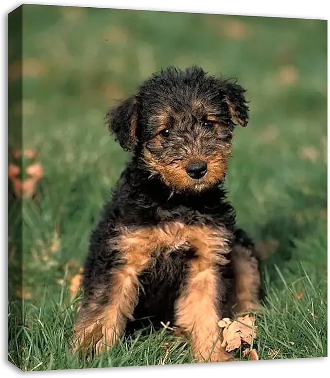 DBLAKI Personalized Custom Canvas Prints - Custom Framed Canvas Prints With Your Photos,Printed Photo To Canvas Wall Art Ideal for Home Decor Gifts Keepsakes 10" x12"
