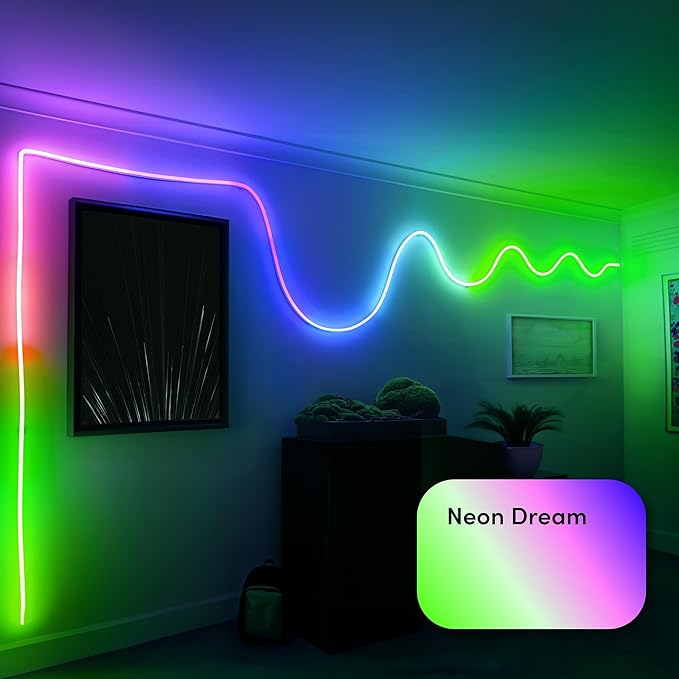 Indoor Neon Flex 16ft