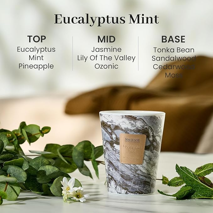 M&SENSE Eucalyptus Mint Scented Candles for Home, 3 Wick Highly Scented Jar Candle, 14.1 Oz 80H Long Lasting Burning Christmas Candle for Women, Aromatherapy Candles for Holiday Christmas Gift