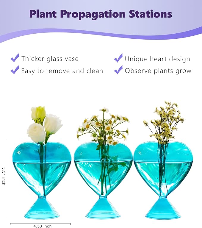 Nacome Small Glass Bud Vases for Flowers: Birthday Gifts for Wife Women Mom Garden Lovers- Set of 3 Heart Plant Terrarium for Wedding Centerpiece Table Office Indoor Home Decor(Blue)