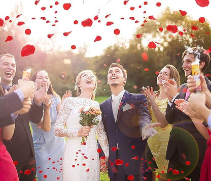 Ouddy Decor 3000 Pcs Rose Petals Artificial Flowers for Valentine's Wedding Decor Romantic Night Bridal Party Home Decorations, Red