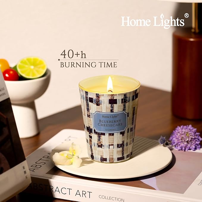 HomeLights Scented Candles for Women & Men, 6.7oz Candle Jars Aromatherapy Single Wick Candle, Ideal for Rustic Modern Home Decor and Gifts, Blueberry Cheesecake