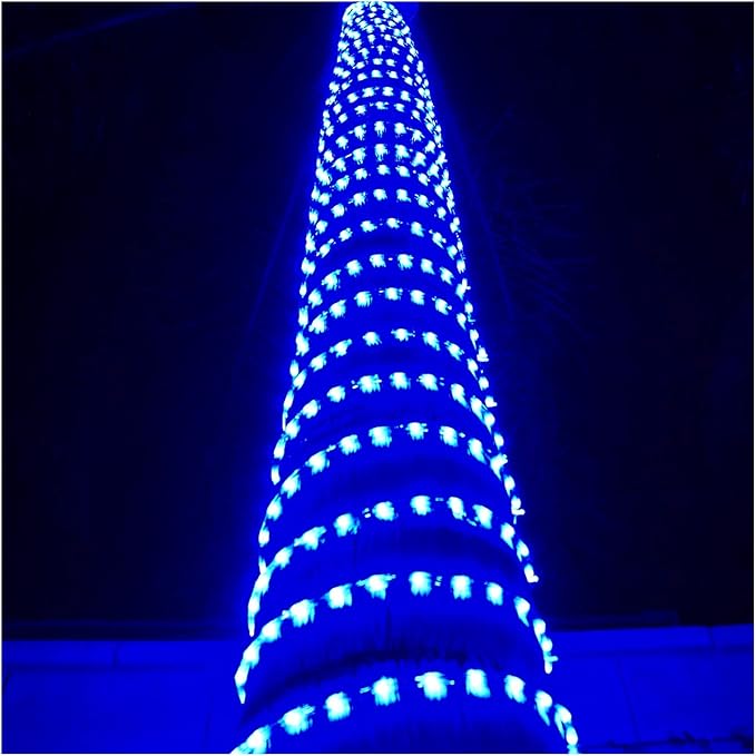 Russell Decor LED Rope Lights Festival Holiday Party Seasonal Christmas Decoration 30ft - 200ft Customized Available (Blue, 30)