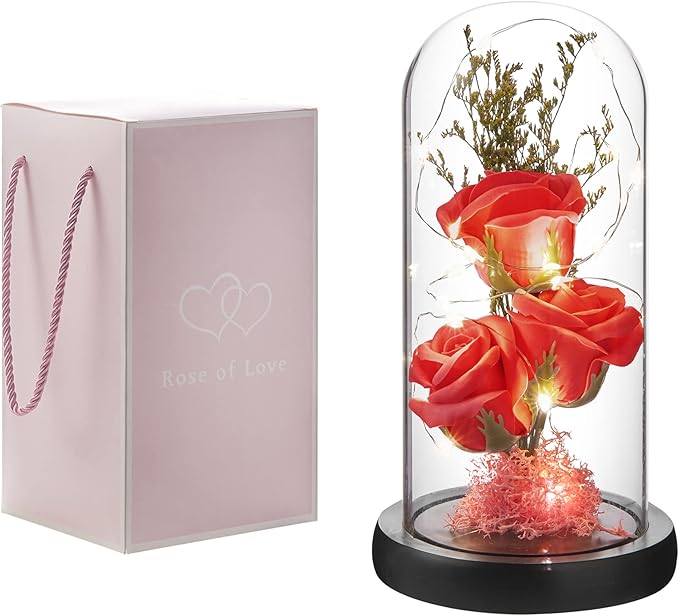 Preserved Flower Gift, Light Up Rose in Glass Dome, Eternal Forever Rose Flower Gifts for Her, Grandma, Mother’s Day, Valentine’s Day, Anniversary, Birthday, Christmas Decorations, Red