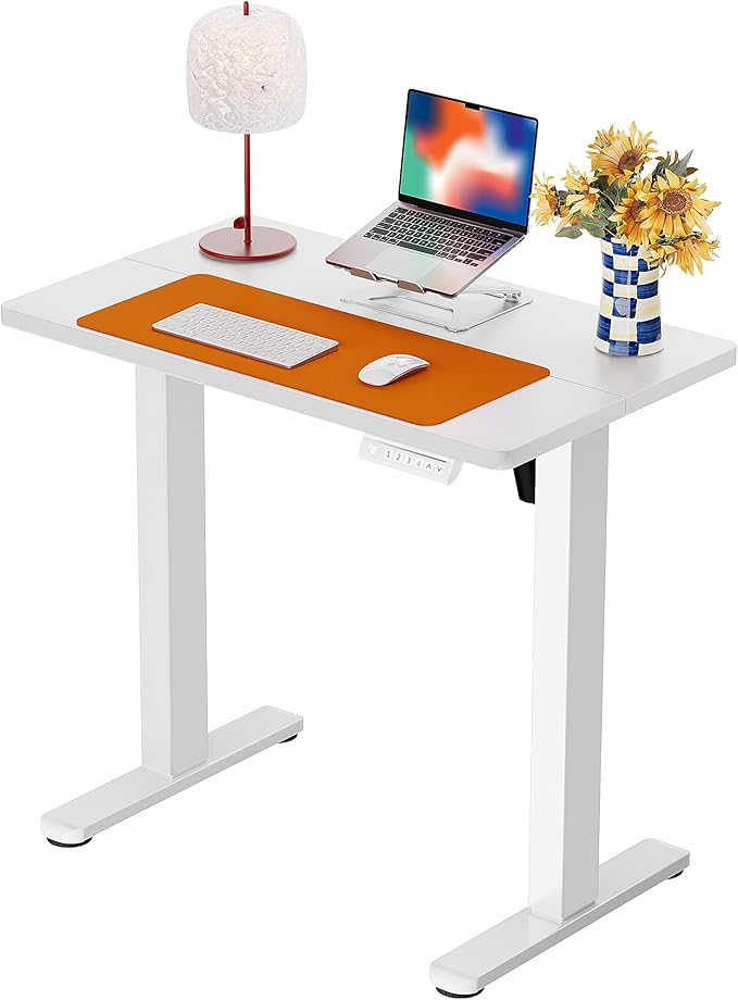 ErGear Height Adjustable Electric Standing Desk, 32 x 19 Inches Sit Stand up Desk, Memory Computer Home Office Desk, White