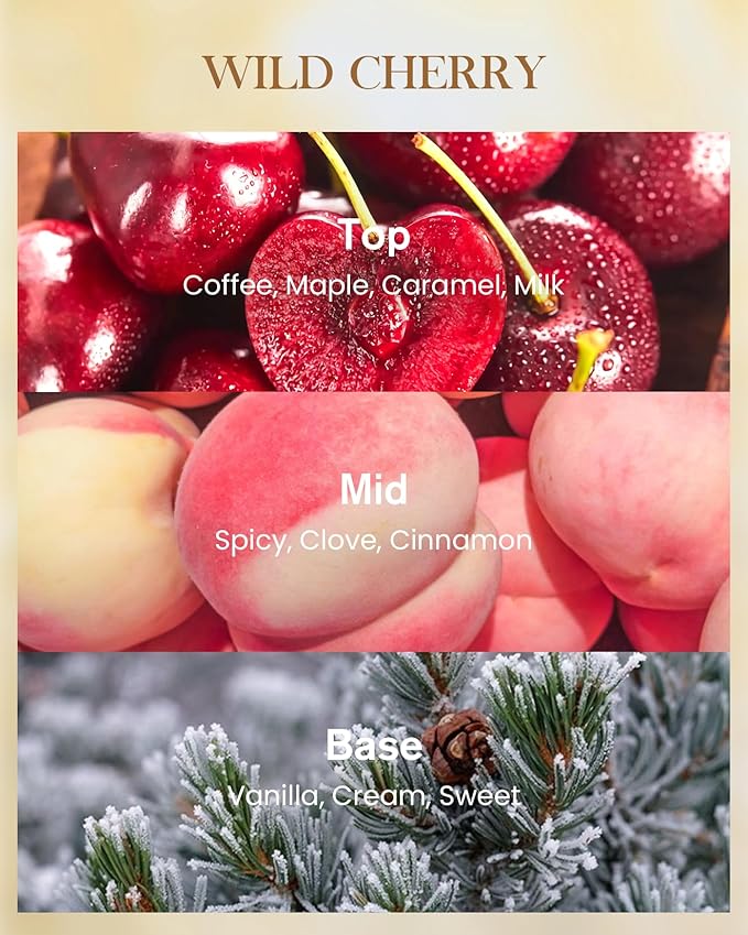 M&SENSE Wild Cherry Scented Candle, Natural Soy Wax Candles 14.1oz 60H Slow Burning Non Toxic, Fall Winter Stress Relief Romantic Thanksgiving Christmas Gifts for Women Home Decor