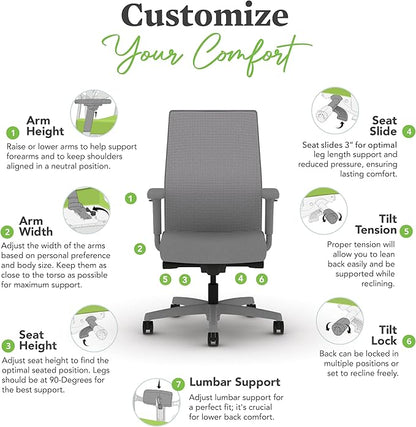 HON Ignition 2.0 Mid Back Task Chair, Advanced Synchro-Tilt Control, Office Chair with Lumbar Support, Height and Width Adjustable Arms, Titanium Frame, Frost