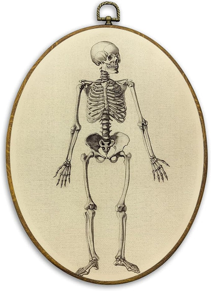 CUANFDDSF Vintage Gothic Skeleton Oval Wall Art Decor, Gothic Spooky Human Skeleton Wall Hanging Decor, Neutral Goth Skull Framed Canvas Prints for Home Bedroom Living Room Office, 8.6x11.4 Inch