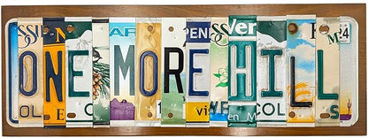 Personalized License Plate Letter Sign - Real Cut License Plates to Spell Out Your Words - Personalized Decor for Home, Office, or Unique Gifts - Vintage Style Wall Art