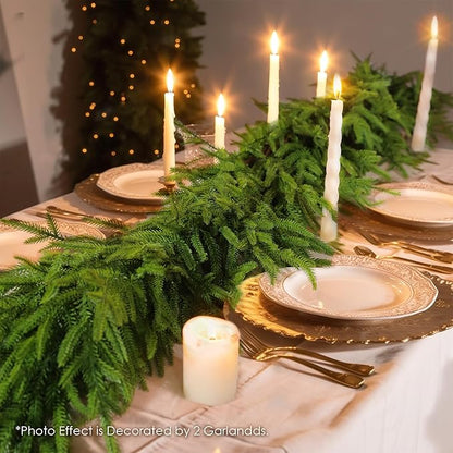 WBHome 2 PCS Real Touch Norfolk Pine Christmas Garland, Winter Greenery Garland for Christmas, Holiday Seasonal Outdoor/Indoor Home Decor