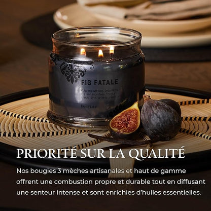 PartyLite Fig Fatale Scented, Notes of Apricot, Green Fig, Peach, Mango, Strawberry and Vanilla,13.2oz 3-Wick Jar Candle, 45 Hour Burn Time, Luxurious Fragrance, Perfect for Gifting