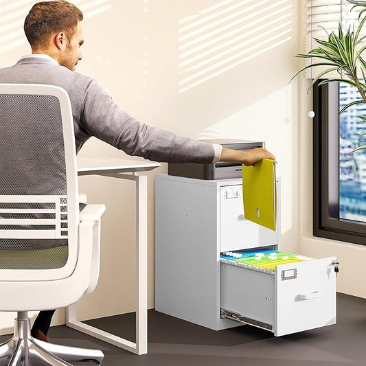 2 Drawer File Cabinet with Lock Vertical Filing Storage Office Home Steel Vertical File Cabinets for Letter Size File Cabinet Locked,Assembly Required