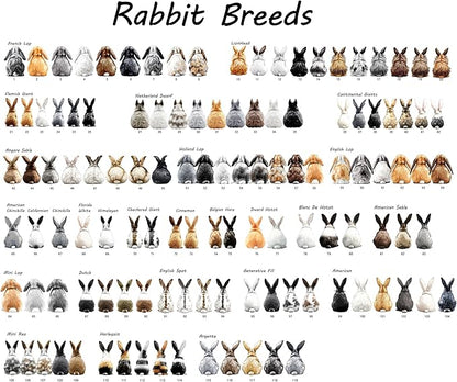 Personalized Bunny Suncatcher – Custom Rabbit Suncatcher with Name, Breed & Multiple Background Options, Pet Loss Sympathy Gift, Memorial Keepsake for Rabbit Lovers (Up to 3 Pets), Easter Decor
