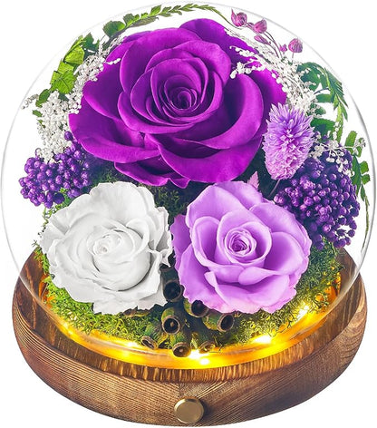 Forever Flowers for Delivery Prime, Preserved Rose in Glass Dome, Gifts for Women Birthday, Long-Lasting Flowers for Mom Wife Grandma Valentine's Day Mother's Day Christmas Anniversary, Purple