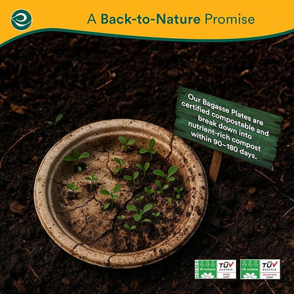 ECO SOUL Compostable 9 Inch(400-Pack) Biodegradable Heavy-Duty Disposable Eco-Friendly Paper Plates for Thanksgiving Dinner & Parties, Wedding, Event