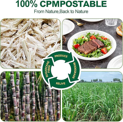 DaYammi 100% Compostable Paper Plates 7 Inch, 125-Pack Heavy Duty Paper Plates Bulk,Biodegradable Bagasse,Eco-Friendly Disposable Dessert Plate for BBQ,Picnic,Party (BPI Certified,Microwaveable)