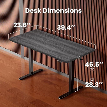 ErGear Height Adjustable Electric Standing Desk, 40 x 24 Inches Sit Stand up Desk, Memory Computer Home Office Desk, Grey