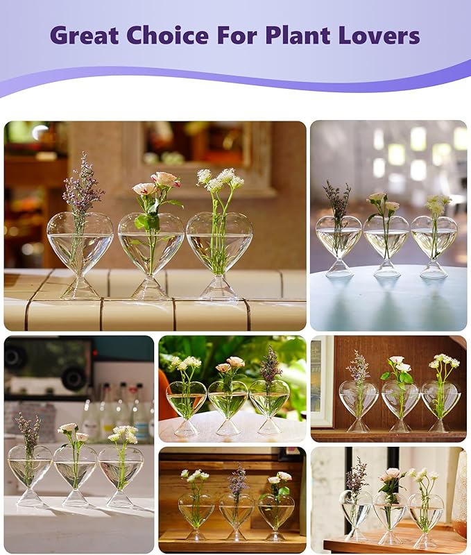 Nacome Small Glass Bud Vases for Flowers: Birthday Gifts for Wife Women Mom Garden Lovers- Set of 3 Heart Plant Terrarium for Wedding Centerpiece Table Office Indoor Home Decor