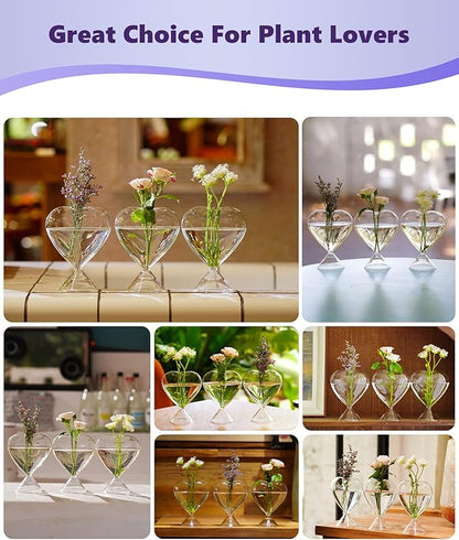 Nacome Small Glass Bud Vases for Flowers: Birthday Gifts for Wife Women Mom Garden Lovers- Set of 3 Heart Plant Terrarium for Wedding Centerpiece Table Office Indoor Home Decor