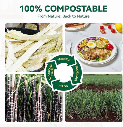 JOLLY CHEF 100% Compostable Paper Plates, 150 Pack 9 Inch Heavy Duty Plates, Disposable Biodegradable Eco-Friendly Sugarcane, Bulk White