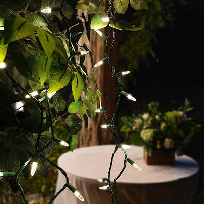 70 Warm White M5 LED Christmas Lights, 24 ft Green Wire Indoor/Outdoor Commercial Grade Mini String, Holiday and Outdoor Lighting