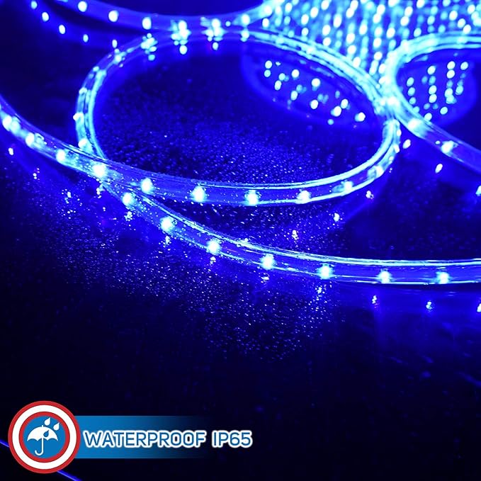 Russell Decor LED Rope Lights Festival Holiday Party Seasonal Christmas Decoration 30ft - 200ft Customized Available (Blue, 20)