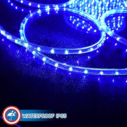 Russell Decor LED Rope Lights Festival Holiday Party Seasonal Christmas Decoration 30ft - 200ft Customized Available (Blue, 20)