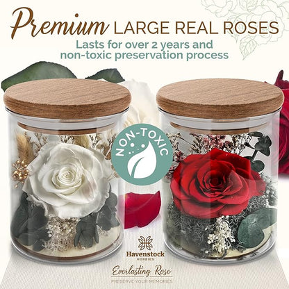 White Rose in a Glass Dome - Premium Real Roses that Last a Year or More - Mother's Day Unique Gifts For Her Preserved Roses - Forever Flower Decor Preserved Flowers - Eternal Rose Display
