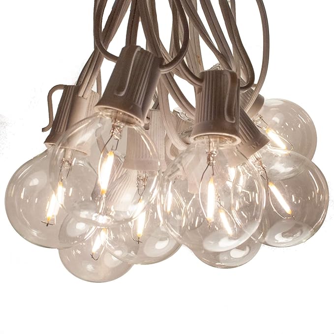 Hometown Evolution, Inc. G50 2" LED Filament Outdoor Patio String Lights with 0.6 Watt Light Bulbs (G50 LED - White Wire, 25 ft)