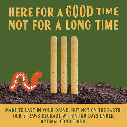 Cocktail 6" Agave Straws - 200 CT