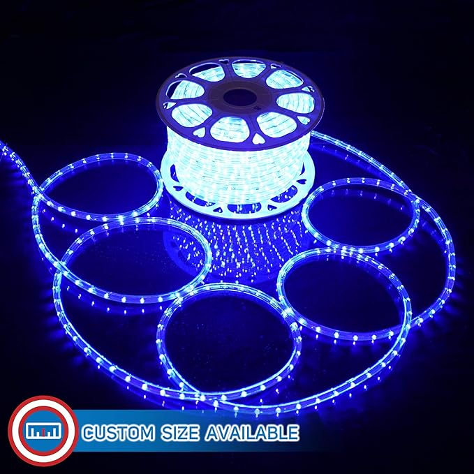 Russell Decor LED Rope Lights Festival Holiday Party Seasonal Christmas Decoration 30ft - 200ft Customized Available (Blue, 30)