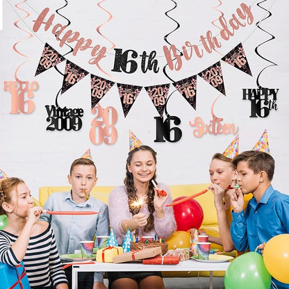 16th Birthday Decorations for Girls, Black Rose Gold Happy 16th Birthday Banner Vintage 2009 Hello 16 Decorations Kit Hanging Swirls Sixteen Year old Bday Party Supplies