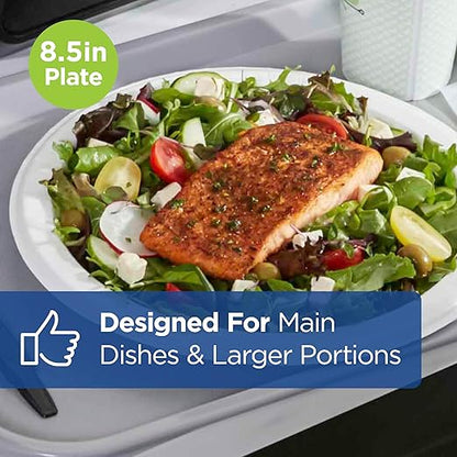 Georgia-Pacific Dixie Ultra 8 1/2 Inch Heavy-Weight Paper Plates, White, 500 Count, Bulk Case, 4 Packs/125 Count Per Pack, SXP9W