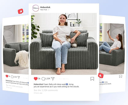 Hobestluk Couch Sofa 2-Seater Foam Sofa Loveseat for Small Spaces Comfy Sofas with Removable Cover Furry Couch with Pillows for Living Room, Bedroom, Apartment, Office (Grey, Loveseat)