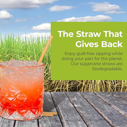 8-inch Sugarcane Straws, 200 Count Unwrapped Drinking Straws, Plastic straw and paper straws alternative, US-Manufactured (Pack of 2, 100 Count per Pack)