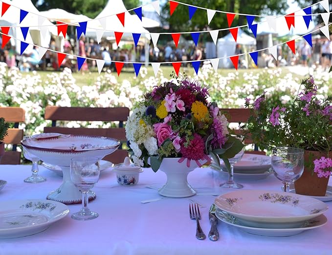 100 Feet 60 Pcs Red White and Blue Pennant Banner Flags String Hanging Triangle DIY Flags, Bunting Streamers Decorations for Grand Opening, Birthday, Wedding Celebration (Red White & Blue)