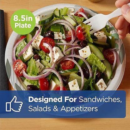 Dixie 8 1/2 Inch Medium-Weight Disposable Paper Plates, Pathways, 300 Count, Bulk Case, 6 Packs/50 Count Per Pack, (Georgia-Pacific #UX9P300)