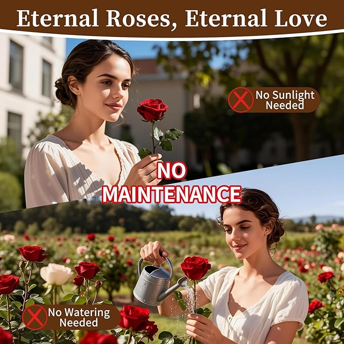 SEEROSE Preserved Rose with Cupid Bear in Glass Dome, Eternal Real Rose Romantic Gift for Her, Women, Mom, Wife, Girlfriend, Valentine’s Day, Mother’s Day, Christmas, Birthday (Cupid Bear, Pink)