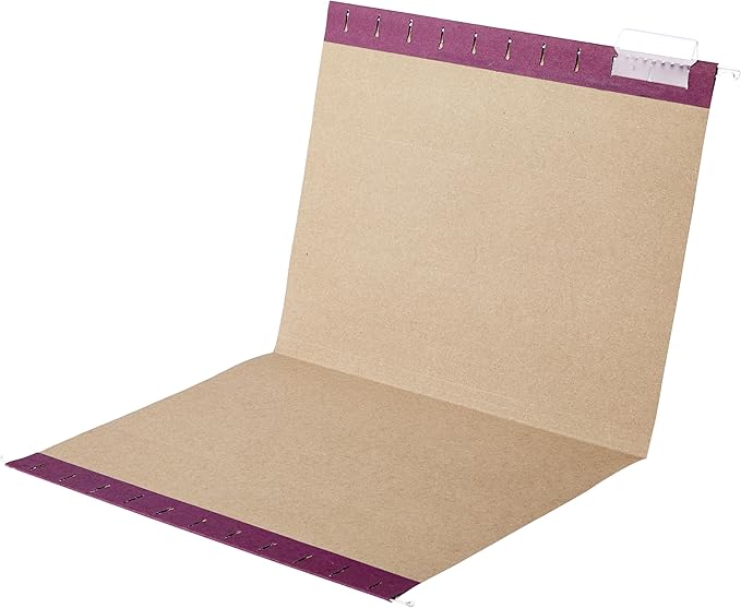 Amazon Basics Hanging File Folders with Adjustable Tabs for Document Organization, Letter Size, Assorted Jewel-tone Colors, 25-Pack