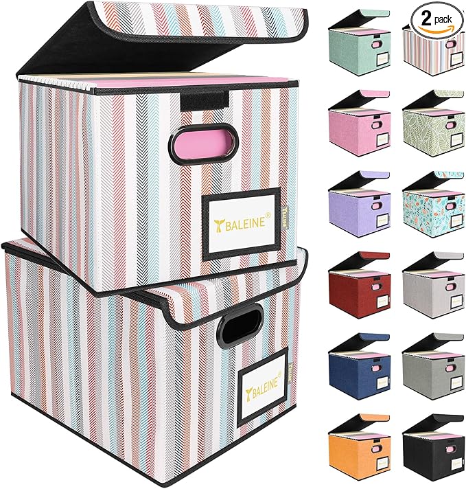 BALEINE File Organizer Box with Lid, Collapsible File Folder Organizer with Plastic Slide, Hanging File Folder Box for Office Document Storage (2 Pack, Color Stripe)