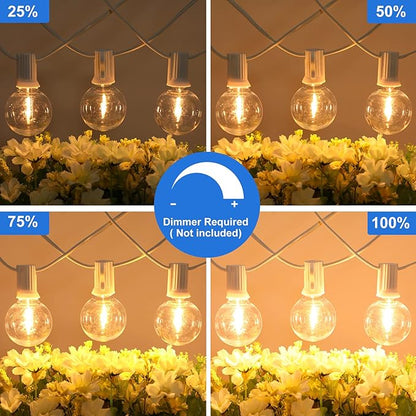 100ft Outdoor G40 LED Globe String Lights Dimmable Shatterproof Waterproof Light Strings with 52 Bulbs Connectable Commercial Hanging Lights for Patio Balcony Backyard Party (White Wire, 2-Pack)