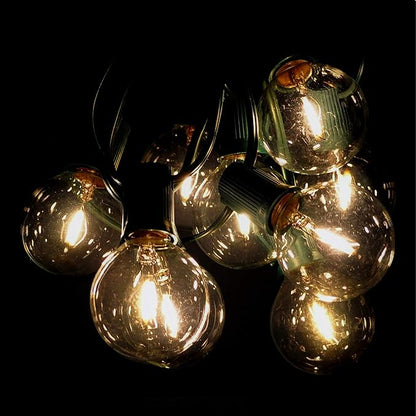 Hometown Evolution, Inc. G50 2" LED Filament Outdoor Patio String Lights with 0.6 Watt Light Bulbs (G50 LED - Green Wire, 50 ft)