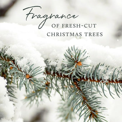 Thymes Frasier Fir Reed Diffuser Set – Includes Reeds, Fragrance Oil, and Frosted Glass Bottle – Fragrance Oil Diffuser – Room Fresheners – Luxury Home Decor – White (Flocked, 4 fl oz)