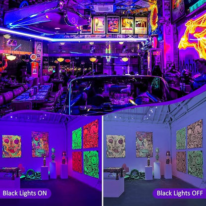 T-SUN 2 Pack 60W Black Lights Outdoor, Blacklight Flood Light with US Plug and Switch, IP66 Waterproof Black Lights for Glow Party, Glow in The Dark, Body Paint Fluorescent Poster Halloween