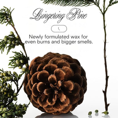 Boy Smells XXMAS Tree Large Candle – Holiday Pine & Evergreen Soy Wax Candle for Winter Home Décor – Fresh Forest Christmas Candle – 27oz