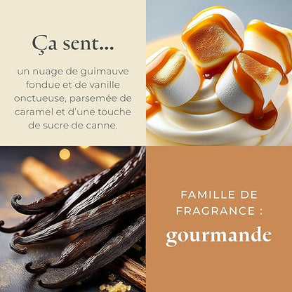 PartyLite Marshmallow Vanilla Scented with Caramel & Sugarcane Notes, 13.2oz 3-Wick Jar Candle, 45 Hour Burn Time, Luxurious Fragrance, Ideal for Gifting