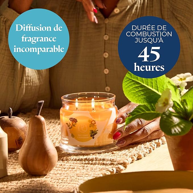 PartyLite Raw Honey & Elderberry Scented, Notes of Alpine Elderflower, Soft Jasmine & Golden Amber, 13.2oz 3-Wick Jar Candle, 45 Hour Burn Time, Luxurious Fragrance, Ideal for Gifting