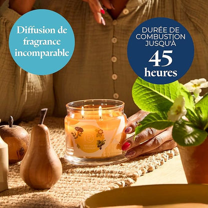 PartyLite Raw Honey & Elderberry Scented, Notes of Alpine Elderflower, Soft Jasmine & Golden Amber, 13.2oz 3-Wick Jar Candle, 45 Hour Burn Time, Luxurious Fragrance, Ideal for Gifting